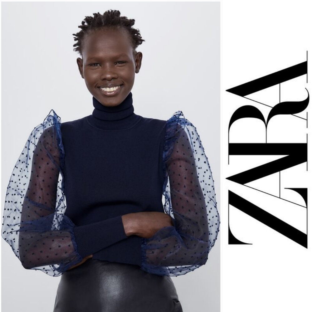 Zara Dotted Mesh Organza Sweater